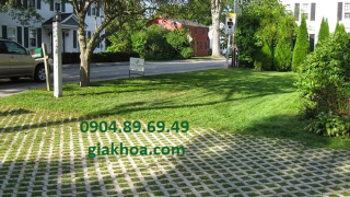 Gạch trồng cỏ là gì? Các mẫu gạch trồng cỏ đẹp